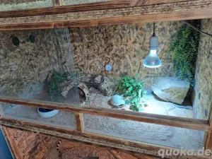 holz Terraium 