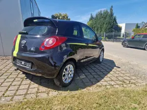 Ford Ka/Ka+ Ka 1.2 Sport Colour Edition Tüv 11.26 viel Neu Bild 5