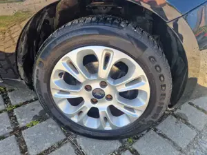 Ford Ka/Ka+ Ka 1.2 Sport Colour Edition Tüv 11.26 viel Neu Bild 4