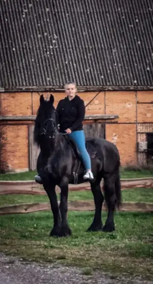 Reitbeteiligung- und Pflegebeteiligung (PLZ 79739) gesucht