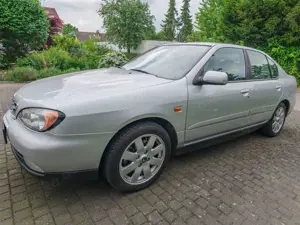 Nissan Primera Bild 5