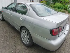 Nissan Primera Bild 4