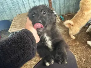 Beky ist unsere kleine Knutschkugel