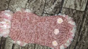 Chhuahua HUndepullover in XS für Minis oder Welpen