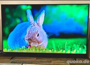 Samsung Smart TV 75zoll 4k 