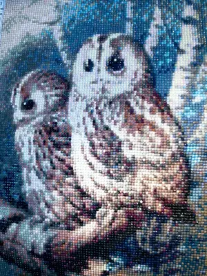 Diamond Painting fertiges Bild Eulen auf Birkenast