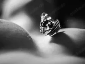 Cosmopolit 53 J, NR & gepflegt sucht Dame für Massage 