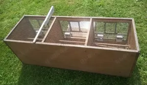 Zuchtbrutkasteneinheit für kleine Vögel Bild 2