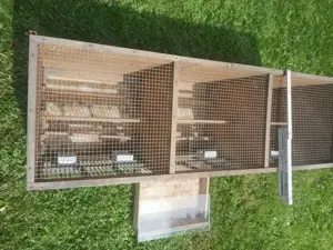 Zuchtbrutkasteneinheit für kleine Vögel Bild 3