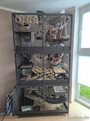 Savic Suite Royale XXL 3-er Tower 