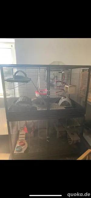 Rattenkäfig mit Zubehör OHNE RATTEN