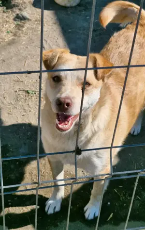 Wer gibt Jaro eine Chance? Bild 3