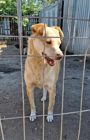 Wer gibt Jaro eine Chance? Bild 5