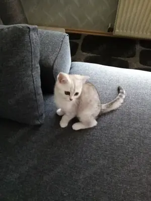 Ein kleiner Engel