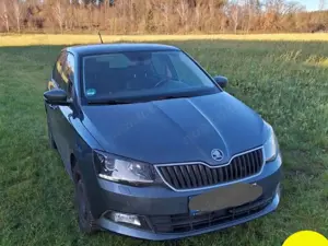 Skoda Fabia Joy