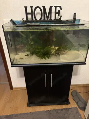 Axolotl Aquarium 120 l mit alles