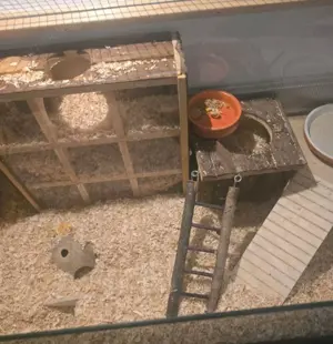Komplett ausgestatteter Hamster   Zwerghamsterkäfig + Extras