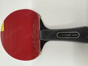 Tischtennisschläger Boer Hybrid WRB Carbon, Kokutaku Tuple Beläge neu Bild 1