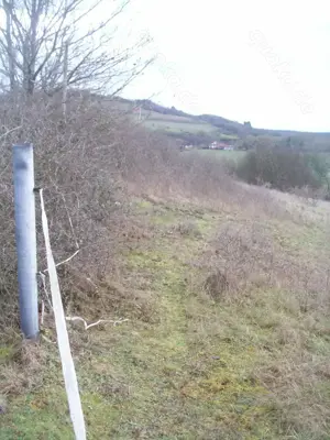 Höringen Land --3Grundstücke zur Tierhaltung