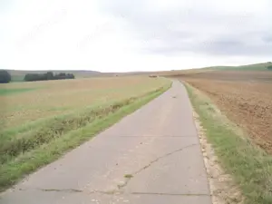 Freizeitgrundstück --Dielkirchen  Wald --Wochenendgebiet- Holzgewinnung