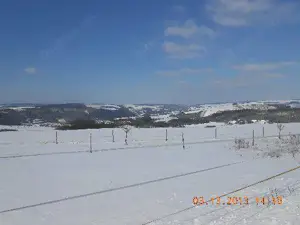 RP -Dielkirchen --Mischwald--Giebelbacherho   Stolzenbergerhof--Wochenendgebiet- Holzgewinnung    Bild 3