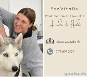 mobile Physiotherapie und Chiropraktik für Hunde
