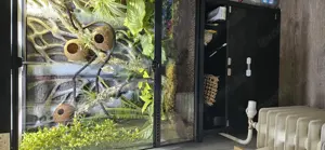 exo terra 90x45x90 Terrarium abzugeben 