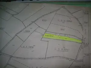 RP -Dielkirchen --Mischwald--Giebelbacherho   Stolzenbergerhof--Wochenendgebiet- Holzgewinnung    Bild 5