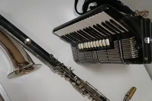 Versierte r Klarinettist in (B-, Es-, oder Bassklarinette) für Klezmer Balkan-Duo gesucht