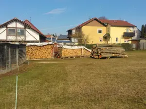 Buche Brennholz Kaminholz  Bild 2
