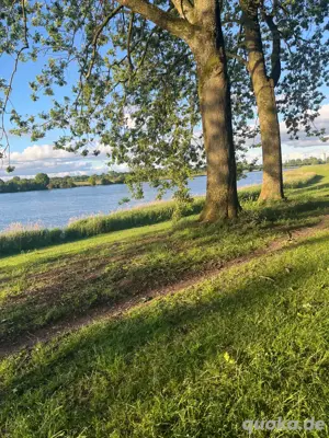 Devoter Mann (35) sucht dominante Lady   echt, respektvoll, hingebungsvoll