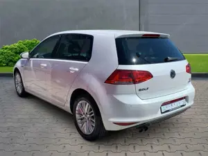 Volkswagen Golf VII Cup 1.4 TSI+Alufelgen+Klimaautomatik+Sitzheizu Bild 2