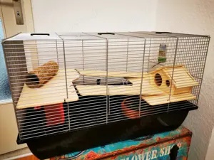 hamsterkäfig