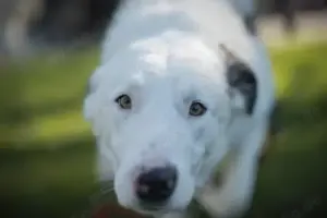 Frohnatur Atlas wartet auf dich! Bild 5