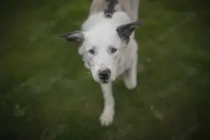 Frohnatur Atlas wartet auf dich!