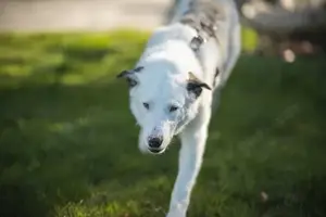 Frohnatur Atlas wartet auf dich! Bild 2
