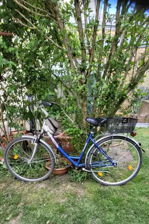 Damen Fahrrad-Gueens-28 Zooll.