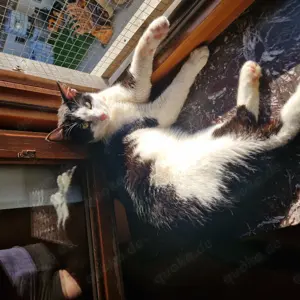 Felix, 2 Jahre, aufgeschlossen