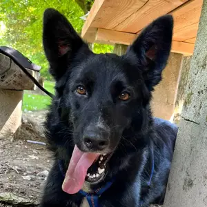 Xaden - Zweite Chance gesucht
