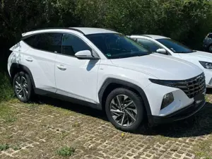Hyundai TUCSON TUCSON 1.6 T-GDi 48V-Hybrid 2WD DCT Trend