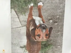 Wer hat ein Herz für mich?