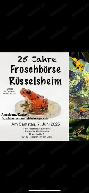 Dendrobaten & Zubehoer