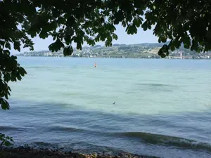 Weibliche Begleitung   Frau für 6-Tage GF6-Urlaub im 4*Hotel am See gesucht