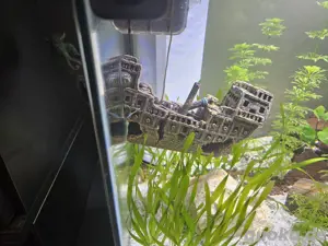 komplett Aquarium  Bild 2