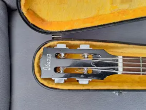 Ibanez SG-Standard Bass
