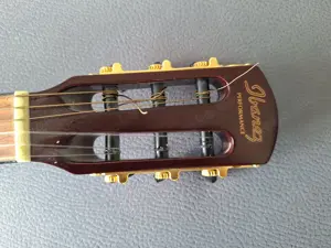 Ibanez Concert Gitarre PC344 NCE TPL Bild 3