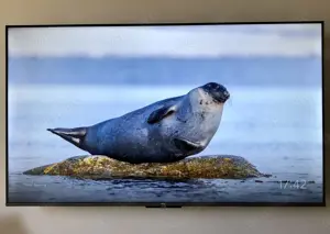 TCL 55P735 55" LED 4K Google TV Atmos Dolby Vision HDMI 2.1 Bild 5