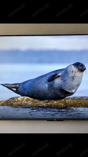 TCL 55P735 55" LED 4K Google TV Atmos Dolby Vision HDMI 2.1 Bild 6