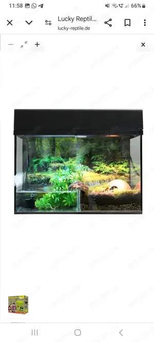 Lucky Reptile Terrarium 