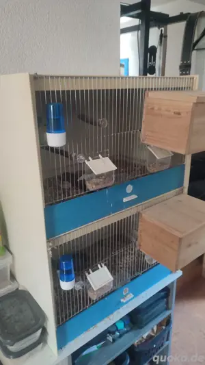Graf Zuchtboxen  Zuchtkäfige